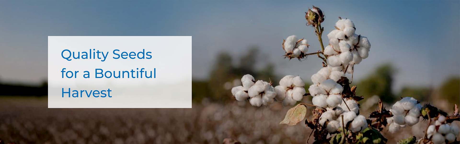 5_Emerge G_Banner Design_1920 x 600_Products 6
