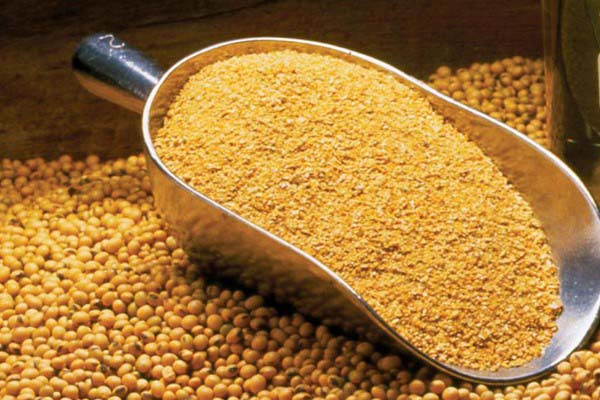 Soya Meals 1